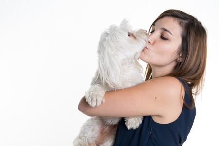 Beautiful young brunette girl posing in studio with her small dogの写真素材