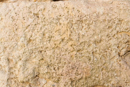 Brown cement texture background