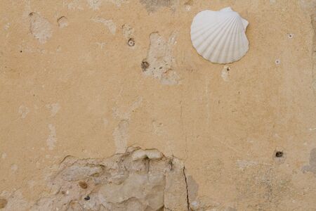 Shell pilgrims stone detail of a religious symbol for pilgrims on yellow wallの写真素材