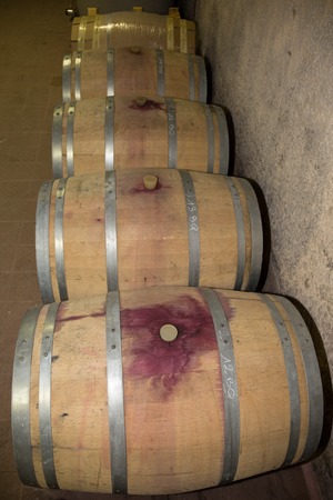 Beautiful wooden barrels in a winery. Wine cellar