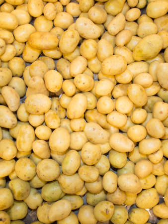 Potatoes on market. Yellow on backgroundの写真素材