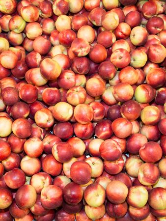 White flesh nectarine close up. Early morning in farmers market. Colorful fruit backgroundの写真素材