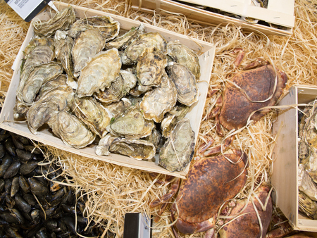 Frozen seafood on the counter in a supermarketの写真素材