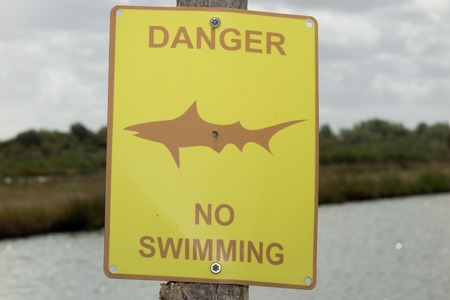 Shark warning yellow sign on the beachの写真素材