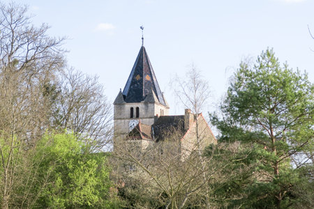 ancient medieval castle hidden by vegetationのeditorial素材