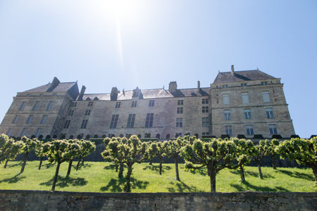 View of a beautiful castle property in Perigord in France with sun skyのeditorial素材