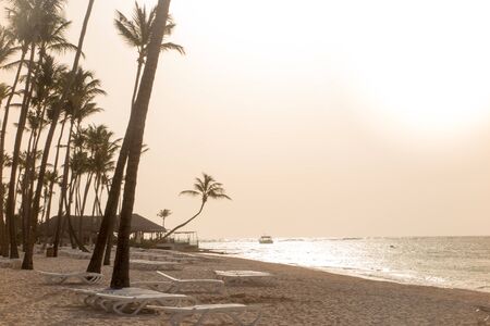Beautiful tropical beach with palm trees