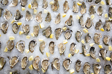 Oyster on ice with lemon at partyの写真素材