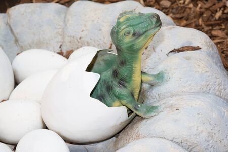 little reptil dinosaure birth with eggs in floor