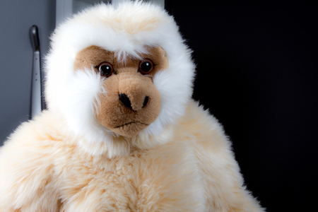 monkey plush portrait