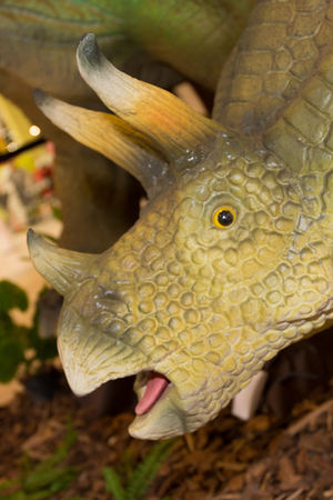 green detail of head toy in the shape of a dinosaurの写真素材