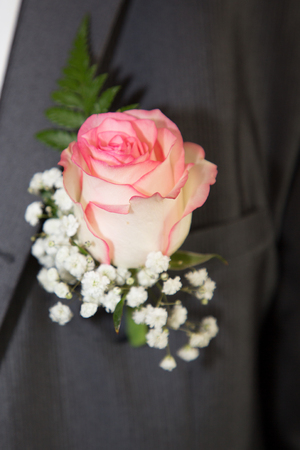 pink rose flower on groom man suit in wedding day celebrationの写真素材