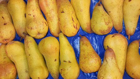 fresh yellow pears with leaves as background in top view