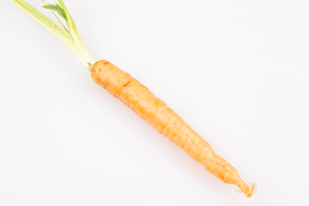 single little carrot for food snack in white backgroundの写真素材