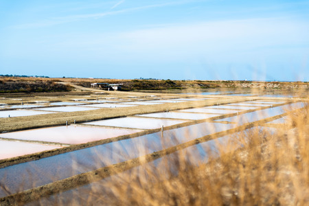 Salt marsh in summer day in Ile Re in Franceの写真素材
