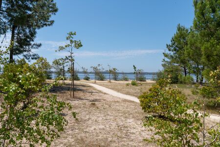 beach park in summer day in Lacanau Medoc village in France