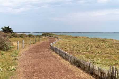 pathway in seacoast in Vendee France western coastの写真素材