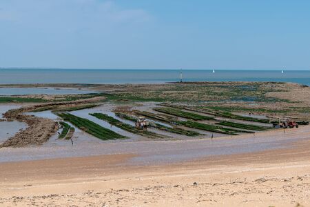 Oyster Parks Countryside of Ile d'Aix in Franceの写真素材