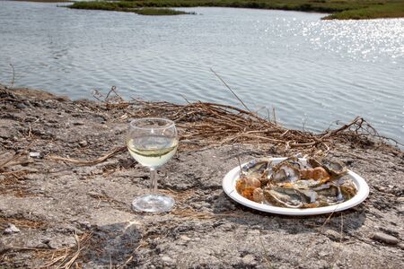 Oysters in white plate with lemon and a glass of wine outdoor beachの写真素材