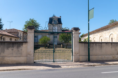 Grape vines in Castle property in Margaux in the Bordeaux wine MÃ©docのeditorial素材