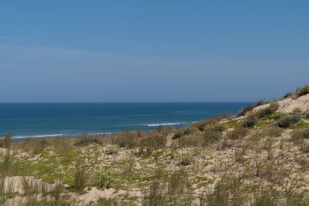 wild nature sand dunes to the beach Atlantic coast in Lege Cap Ferret in France westの写真素材