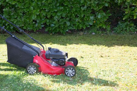 Lawn mower on green lawn home garden
