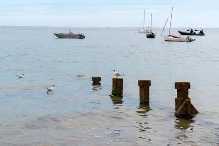 boat in water sea in atlantic ocean ile de Noirmoutier in VendÃ©e Franceの写真素材