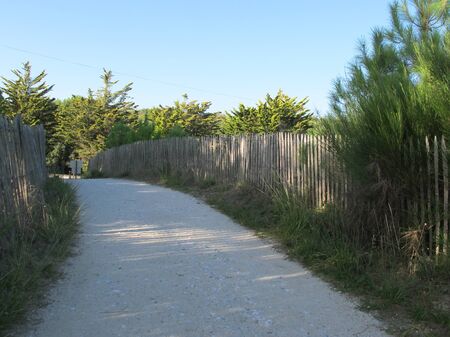 access beach by sand pathway Le Verdon-sur-Mer Franceの写真素材