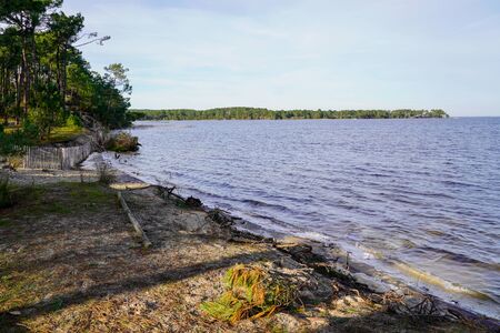 Hourtin lake sand forest beach Gironde Aquitaine france