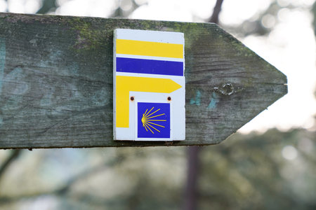 Bordeaux , Aquitaine / France - 12 28 2019 : Shell sign and arrow of ancient the Camino de Santiago popular routes for pilgrim in the Worldのeditorial素材