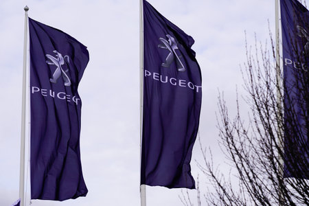 Bordeaux , Aquitaine / France -  01 15 2020 : peugeot sign flag car dealership logo store automobiles shop french in windのeditorial素材