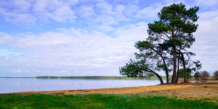 Lake Cazaux Sanguinet in summer beautiful sun day on Landes Atlantic coast france