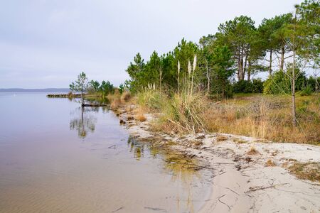 Biscarrosse in french landes sand lake beach with pines reflection in water