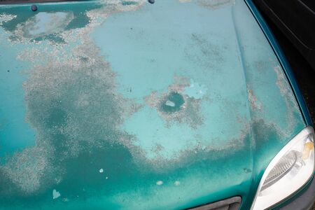 Peeling worn cracked green paint with scratches car completely faded engine hoodの写真素材
