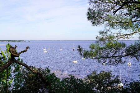 view boat lake in dune sand beach Hourtin village in gironde France