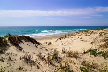 sandy sea path access in sand dune beach in Lacanau Ocean in France