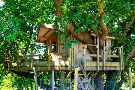 wooden tree house hut in home garden