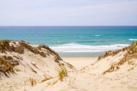 pathway in natural sandy beach to access in La jenny wild sea near Lege cap-ferret in Franceの写真素材