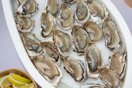 open fresh oysters in ice with lemon