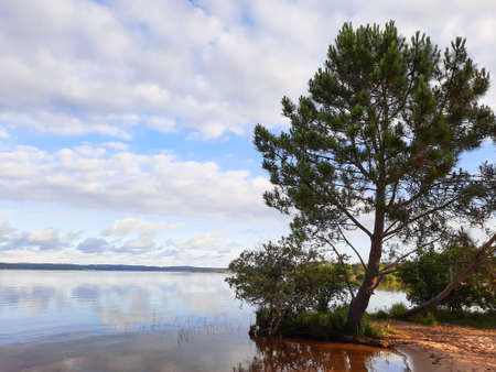 Biscarrosse sand wild beach with calm water in landes franceの写真素材