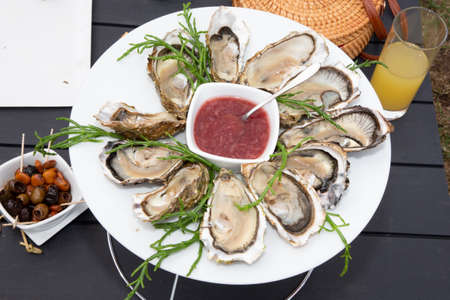 Fresh oysters in white plate in top view in Arcachon Franceの写真素材