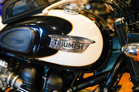 Bordeaux, Aquitaine / France - 10 01 2020: triumph motorcycle detail sign text and logo on fuel tank...