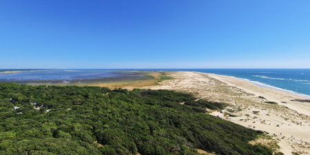 Lighthouse of La Coubre forest and sea beach view in Charente maritime in Atlantic coast in Franceの写真素材