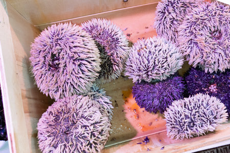 Purple sea urchin on basket in fish ocean market