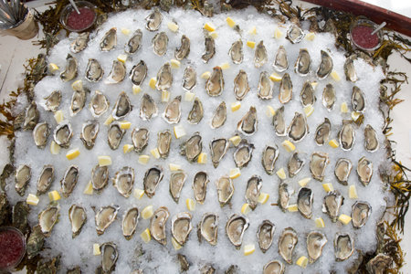 Fresh oysters in fresh ice seafood in Top view in Arcachon basin Franceの写真素材