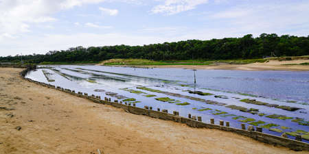 Mussel farm on France Atlantic coast sea in Talmont France