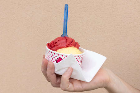 pot of ice cream with two scoops of vanilla and raspberry with a blue plastic spoon in the hand...