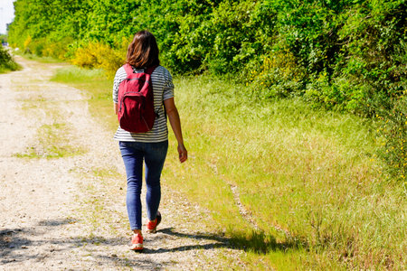 slim woman back rear view walking on forest trail country road parkのeditorial素材