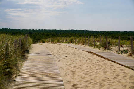 Fenced wood access beach pathway access sea coast in franceの写真素材