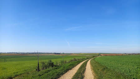 dirt road path panoramic rural landscape with blue sky